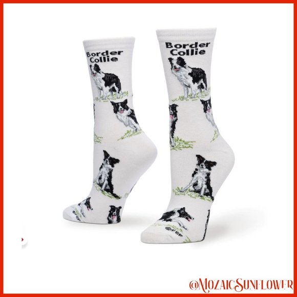 Border Collie Dog Bree Cotton Socks - Picture 2 of 3